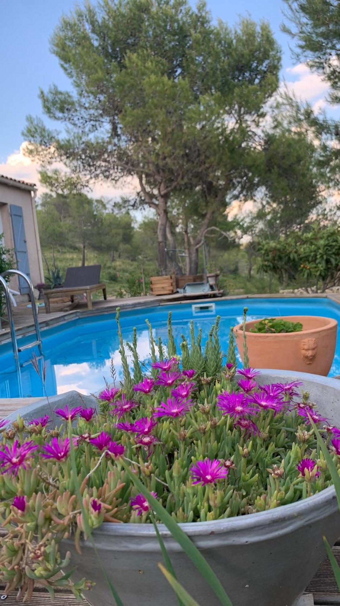 Les Matelles Villa En Bordure De Colline*Piscine*Clim*Netflix מראה חיצוני תמונה